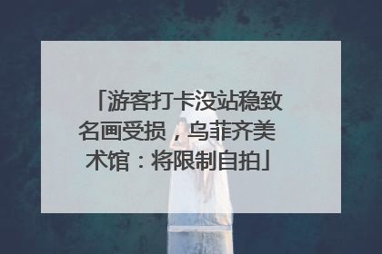 游客打卡没站稳致名画受损，乌菲齐美术馆：将限制自拍