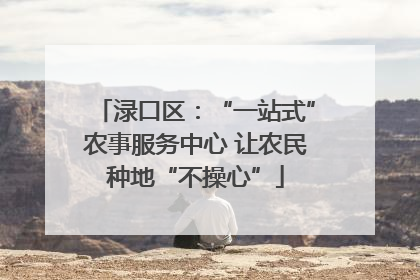 渌口区：“一站式”农事服务中心 让农民种地“不操心”