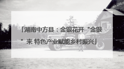 湖南中方县：金银花开“金银”来 特色产业赋能乡村振兴