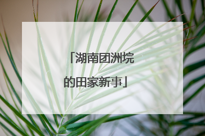 湖南团洲垸的田家新事
