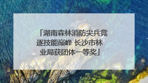 湖南森林消防尖兵竞逐技能巅峰 长沙市林业局获团体一等奖