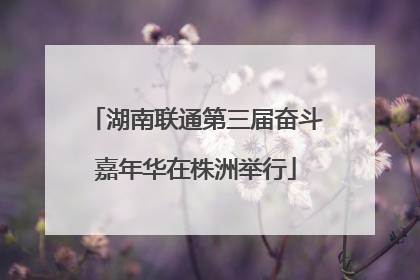 湖南联通第三届奋斗嘉年华在株洲举行