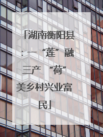 湖南衡阳县：一“莲”融三产 “荷”美乡村兴业富民