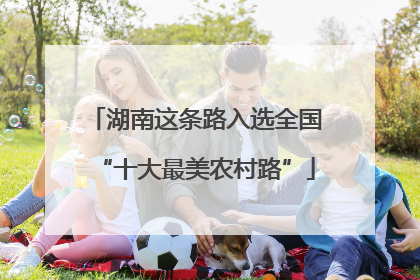 湖南这条路入选全国“十大最美农村路”