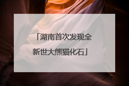 湖南首次发现全新世大熊猫化石