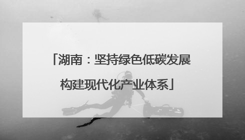湖南：坚持绿色低碳发展 构建现代化产业体系