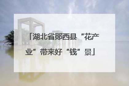 湖北省郧西县“花产业”带来好“钱”景