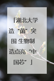 湖北大学造“菌”突围 生物制造点亮“中国芯”