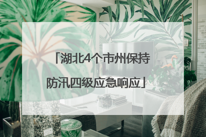 湖北4个市州保持防汛四级应急响应
