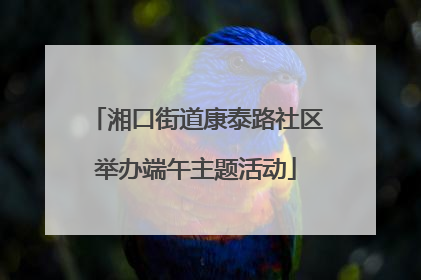 湘口街道康泰路社区举办端午主题活动