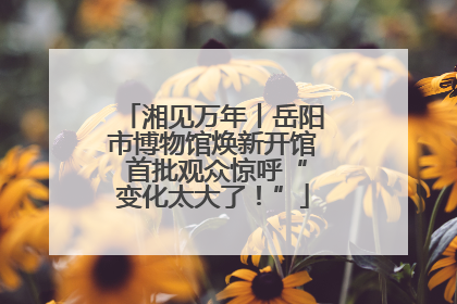 湘见万年丨岳阳市博物馆焕新开馆 首批观众惊呼“变化太大了!”
