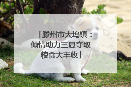 滕州市大坞镇：倾情助力三夏夺取粮食大丰收