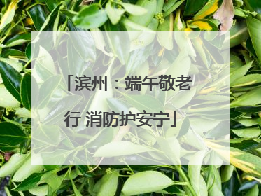 滨州：端午敬老行 消防护安宁