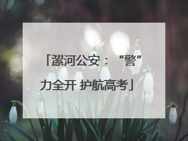 漯河公安：“警”力全开 护航高考