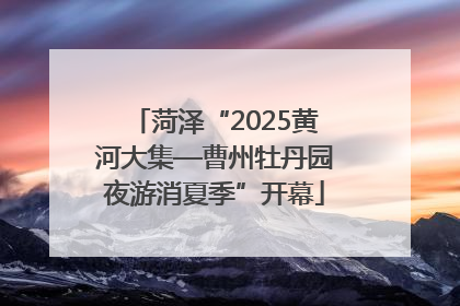 菏泽“2025黄河大集—曹州牡丹园夜游消夏季”开幕