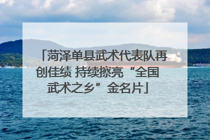 菏泽单县武术代表队再创佳绩 持续擦亮“全国武术之乡”金名片