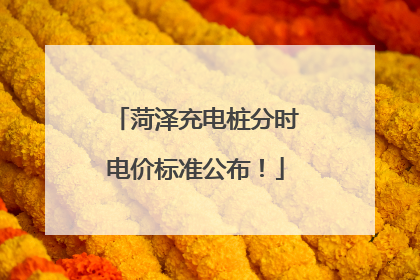 菏泽充电桩分时电价标准公布！