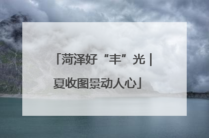菏泽好“丰”光｜夏收图景动人心