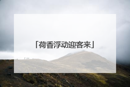 荷香浮动迎客来