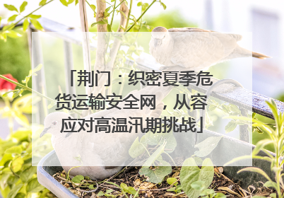 荆门：织密夏季危货运输安全网，从容应对高温汛期挑战
