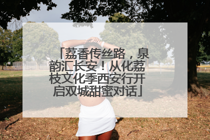 荔香传丝路，泉韵汇长安！从化荔枝文化季西安行开启双城甜蜜对话