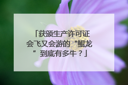 获颁生产许可证 会飞又会游的“鲲龙”到底有多牛？
