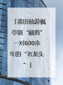 莆田仙游枫亭镇“藏着”一对600余年的“老龙头”