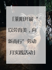莱阳开展“以劳育美，向新而行”劳动月实践活动
