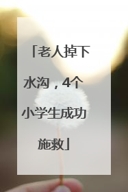老人掉下水沟，4个小学生成功施救