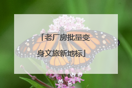 老厂房批量变身文旅新地标