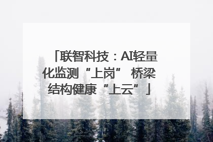 联智科技：AI轻量化监测“上岗” 桥梁结构健康“上云”