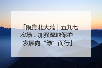 聚焦北大荒｜五九七农场：加强湿地保护 发展向“绿”而行
