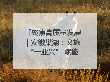 聚焦高质量发展｜安徽巢湖：文旅“一业兴” 赋能“百业旺”