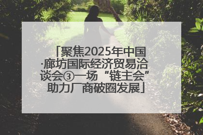 聚焦2025年中国·廊坊国际经济贸易洽谈会③一场“链主会” 助力厂商破圈发展
