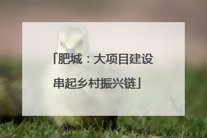 肥城：大项目建设串起乡村振兴链