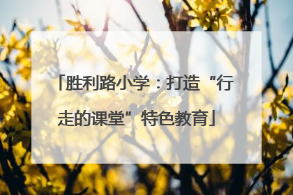 胜利路小学：打造“行走的课堂”特色教育