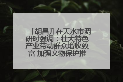 胡昌升在天水市调研时强调：壮大特色产业带动群众增收致富 加强文物保护推动文化创新发展