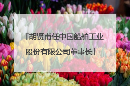 胡贤甫任中国船舶工业股份有限公司董事长