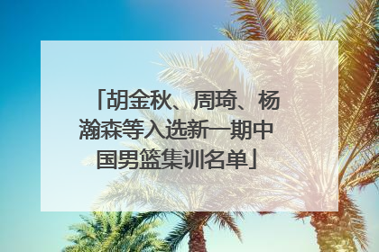 胡金秋、周琦、杨瀚森等入选新一期中国男篮集训名单
