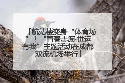 航站楼变身“体育场”！“青春志愿·世运有我”主题活动在成都双流机场举行