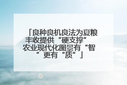 良种良机良法为夏粮丰收提供“硬支撑” 农业现代化图景有“智”更有“质”