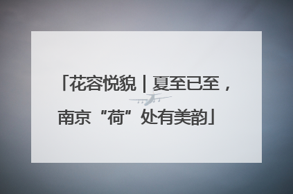 花容悦貌｜夏至已至，南京“荷”处有美韵