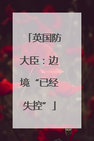 英国防大臣：边境“已经失控”