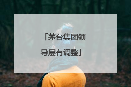 茅台集团领导层有调整