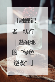 融媒记者一线行｜盐碱地的“绿色逆袭”