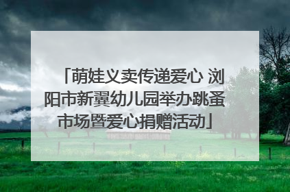 萌娃义卖传递爱心 浏阳市新翼幼儿园举办跳蚤市场暨爱心捐赠活动