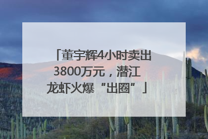 董宇辉4小时卖出3800万元，潜江龙虾火爆“出圈”