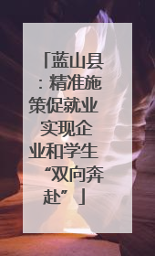 蓝山县：精准施策促就业 实现企业和学生“双向奔赴”