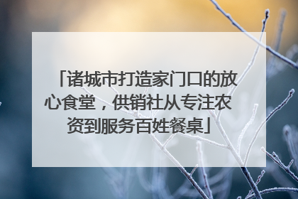 诸城市打造家门口的放心食堂，供销社从专注农资到服务百姓餐桌