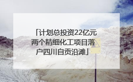 计划总投资22亿元 两个精细化工项目落户四川自贡沿滩